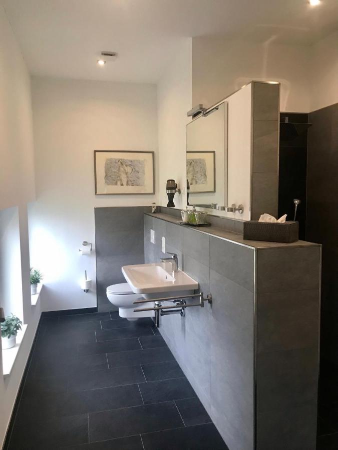Apartamento Weinlofts An Der Mosel Mit E10 Ladestation Köwerich Exterior foto